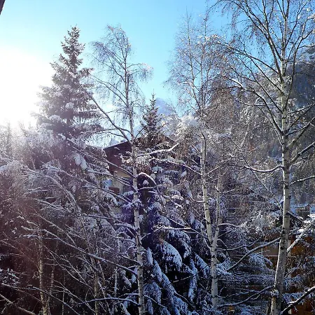 Imperial-4 By Interhome Apartman Zermatt