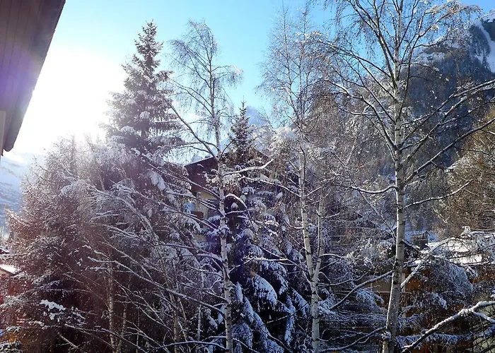 Imperial-4 By Interhome Appartamento Zermatt